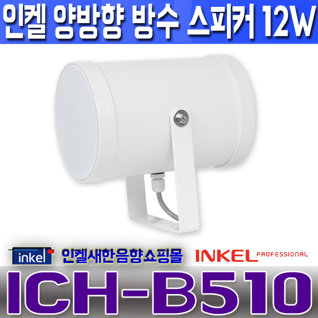 ICH-B510 LOGO.jpg