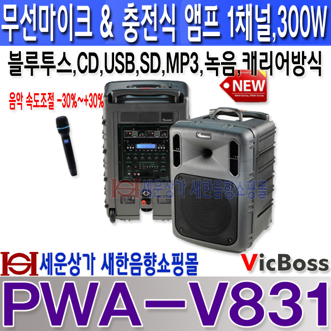 PWA-V831 LOGO-1 º¹»ç.jpg